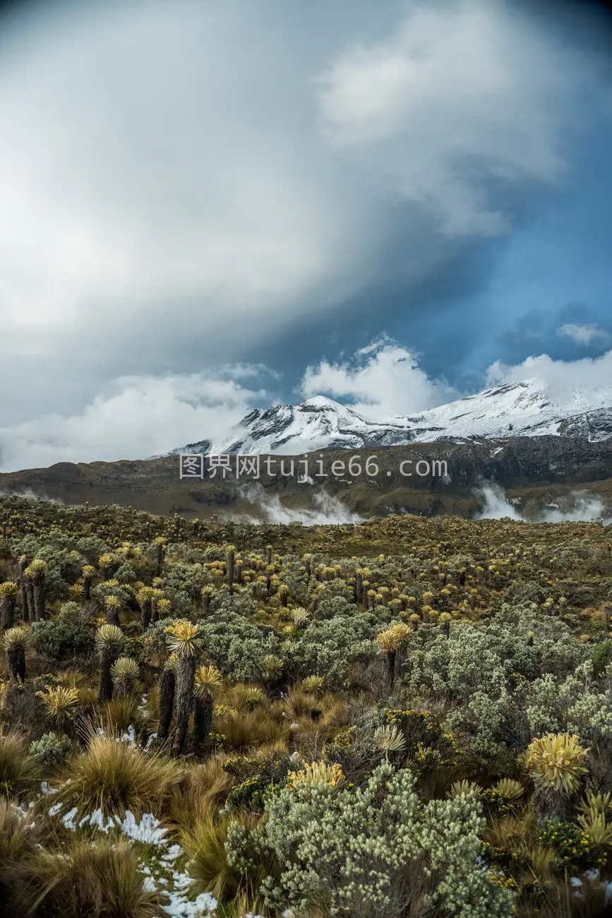 雪山绿前景壮美景观图片