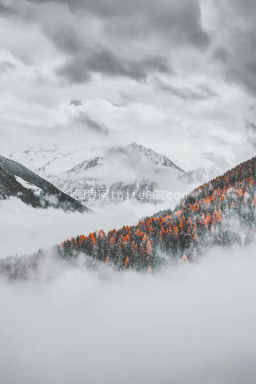 秋色迷雾雪峰景图片