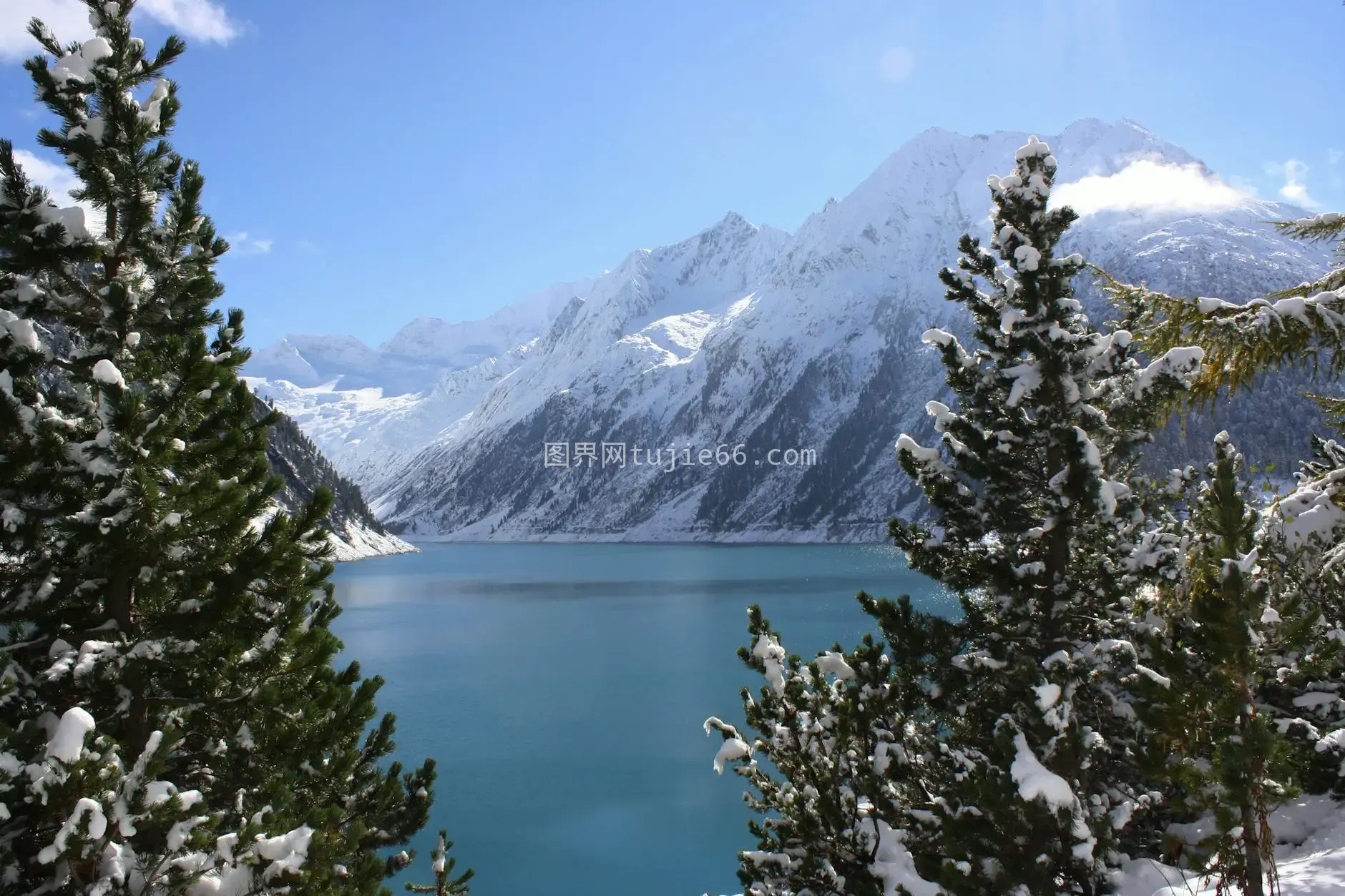 雪峰映碧湖常绿环抱图片