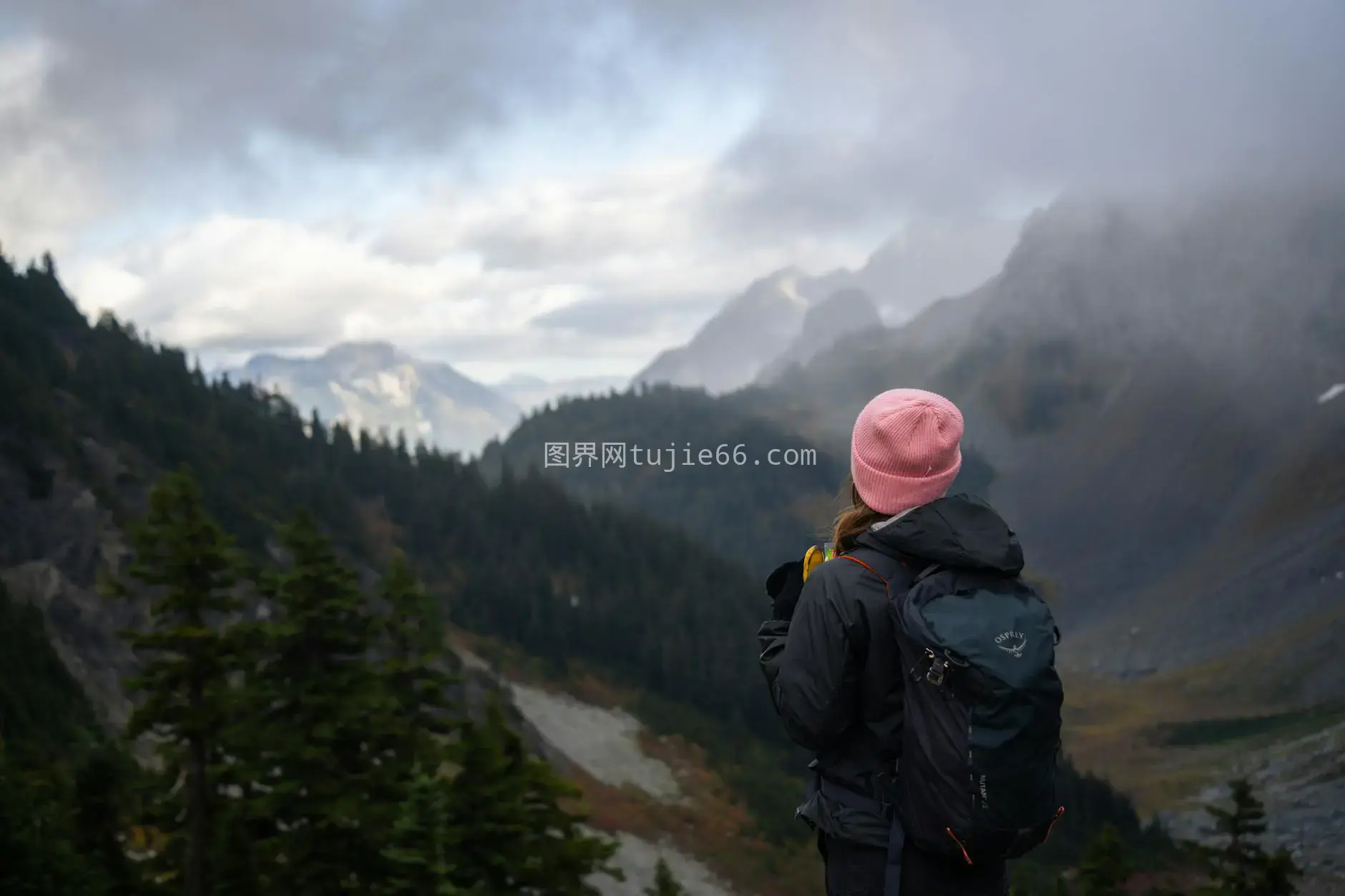 华盛顿荒野女性探险小径图片