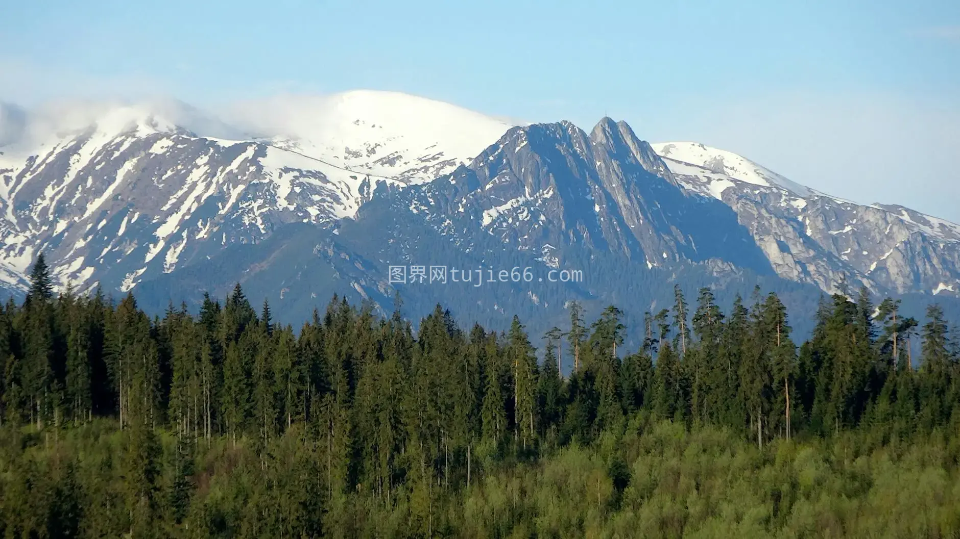 波兰扎科帕内雪山森林景致图片