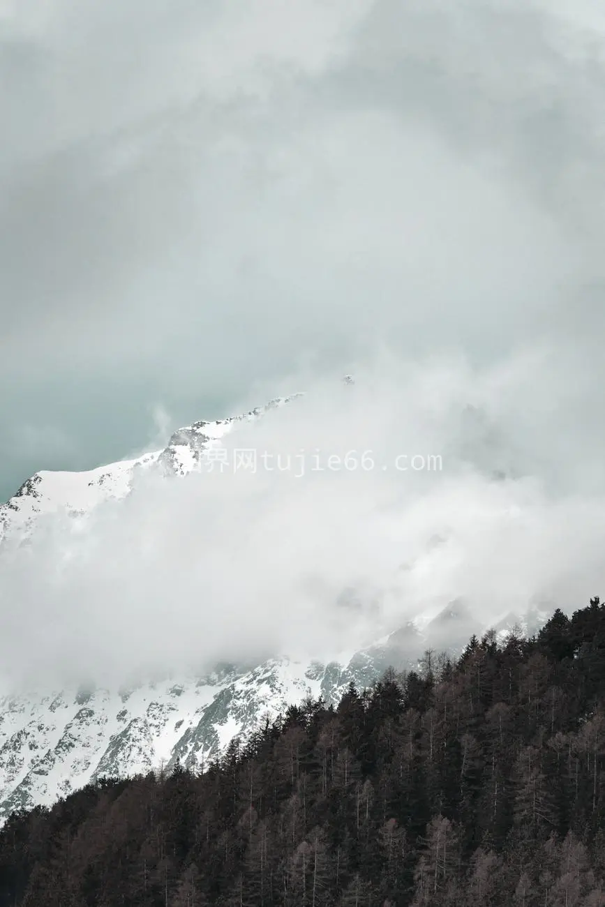 雪顶云绕森林静景图片