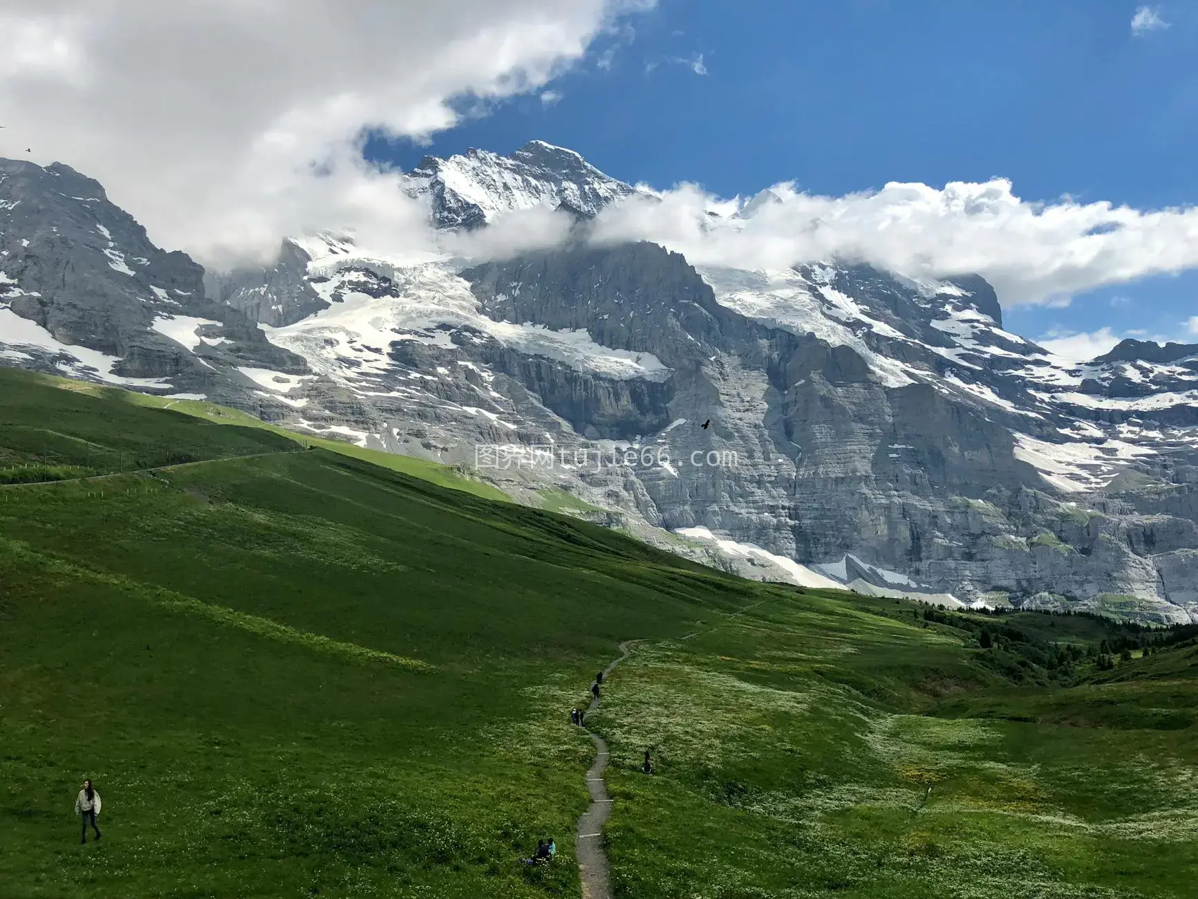 瑞士阿尔卑斯Kleine Scheidegg雪顶风光图片