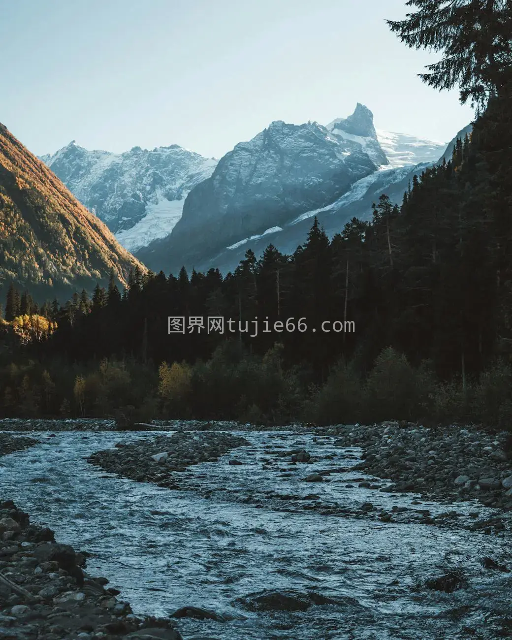 雪山河流茂密林图片