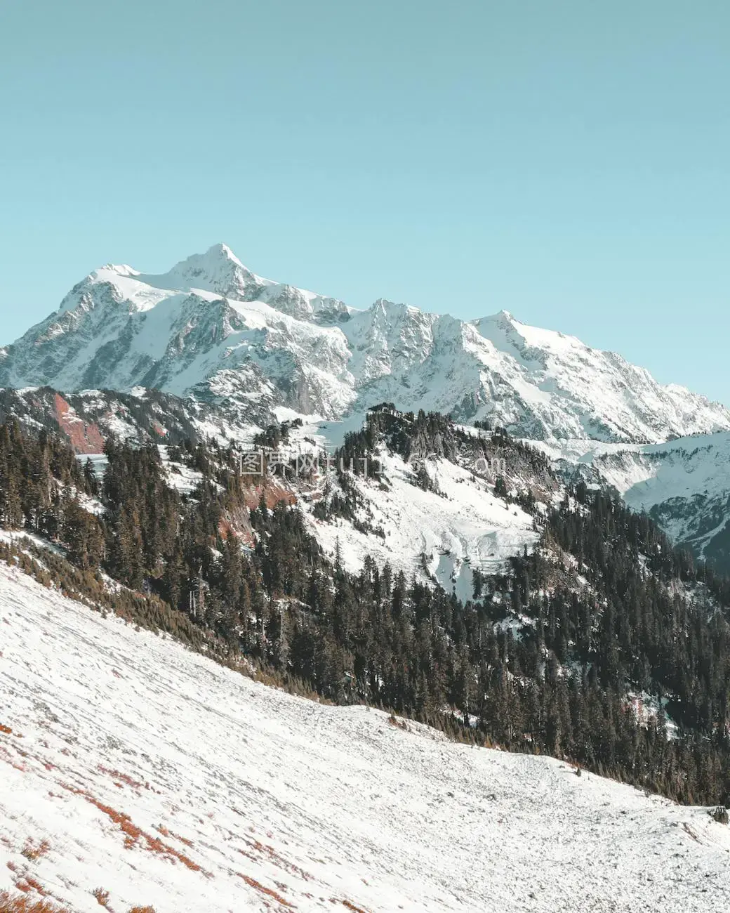 雪山林坡冬日宁静美图片