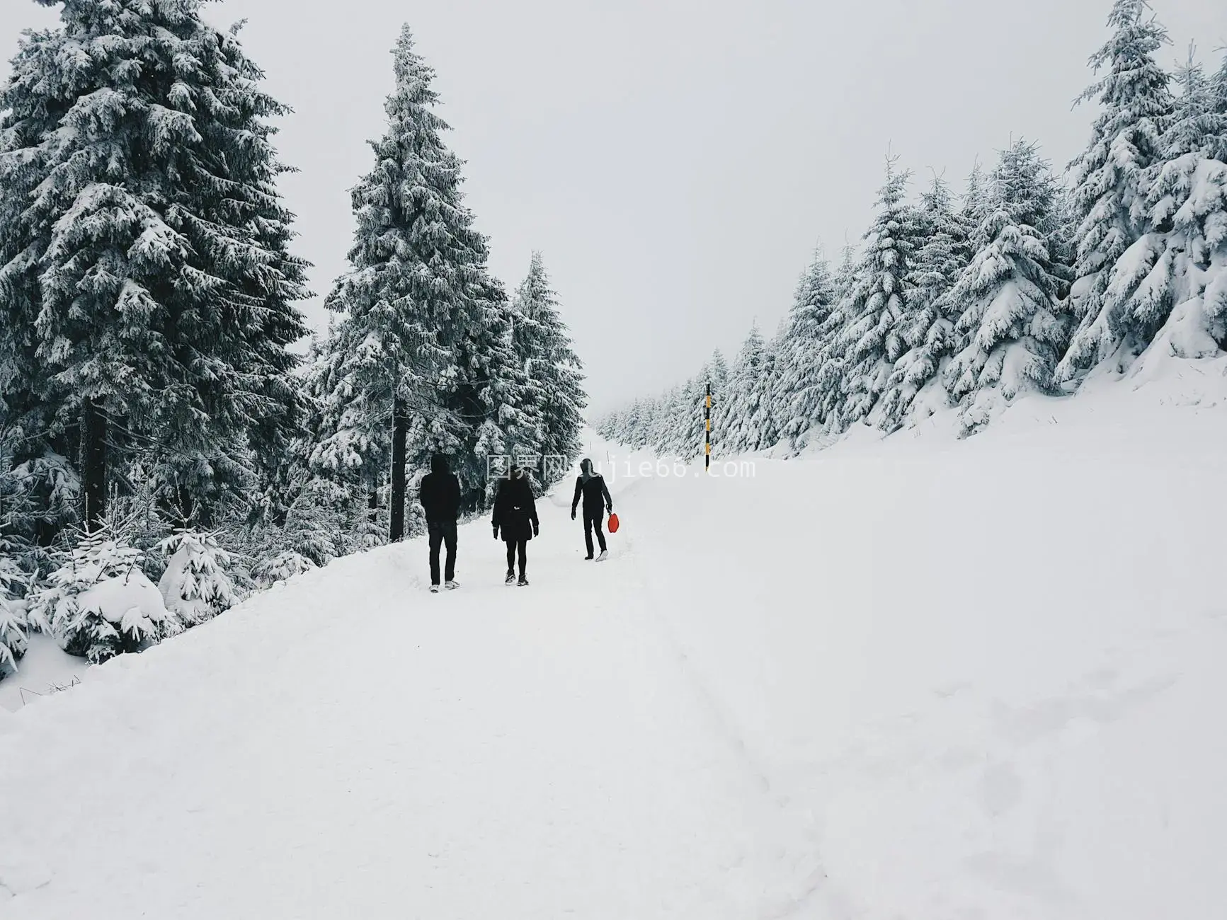 雪中徒步赏景图片