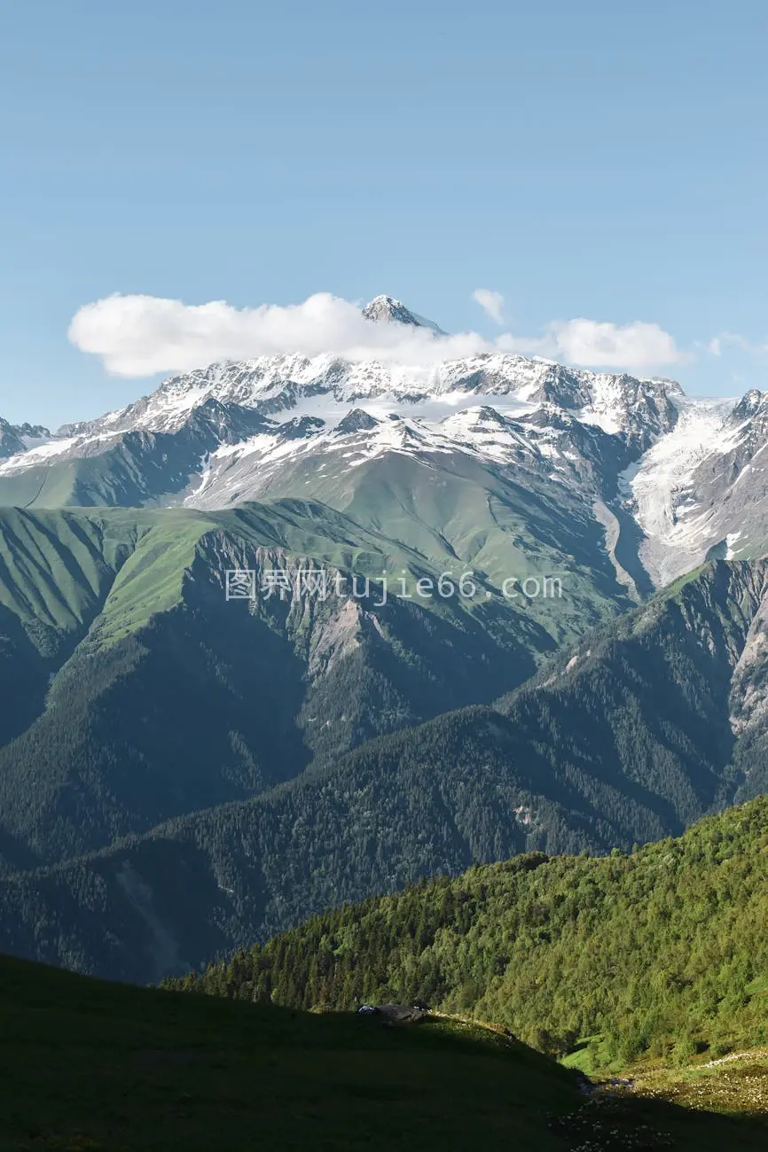 雪山森林山谷景观图片