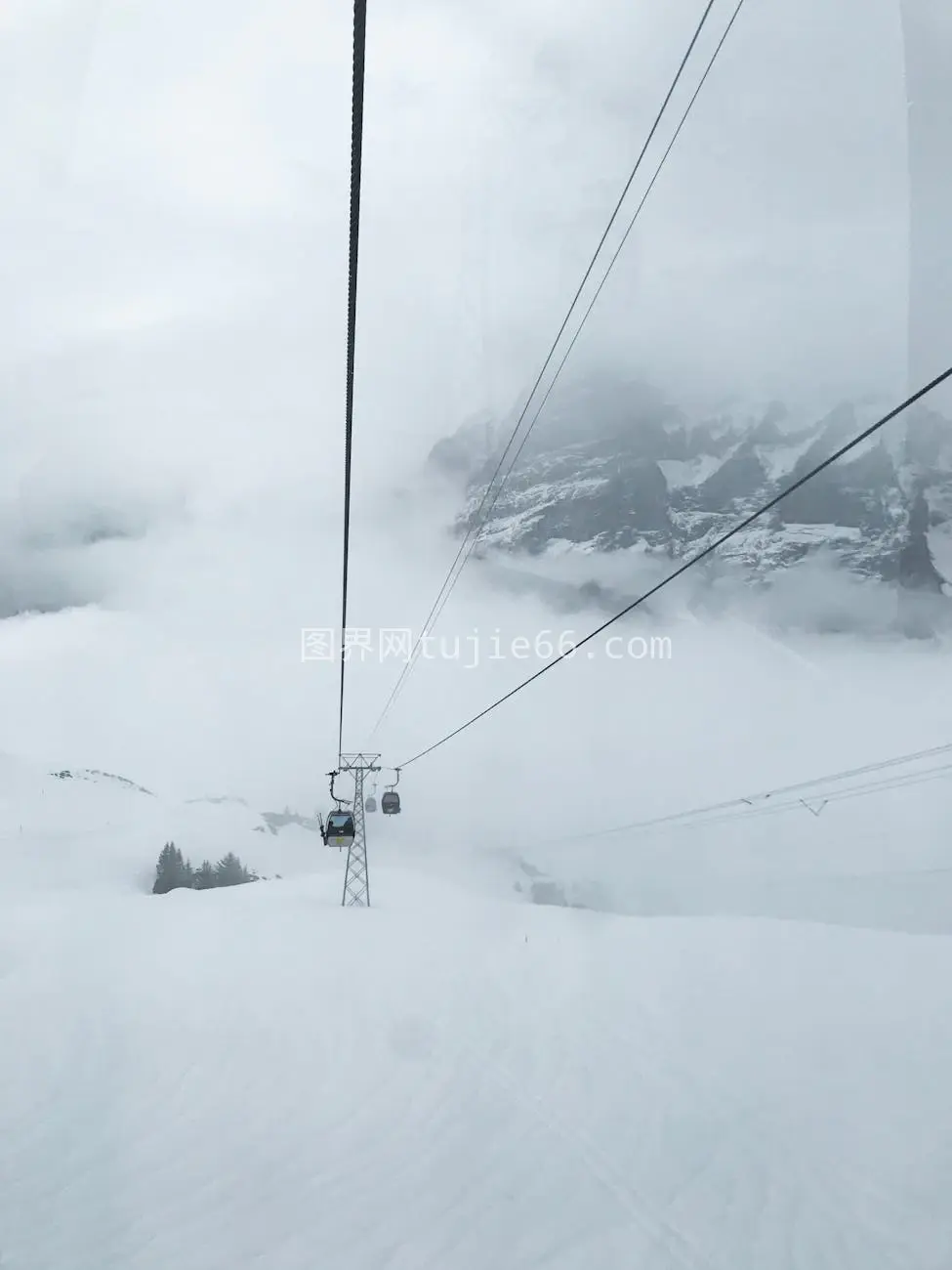 雪山缆车雾中升图片