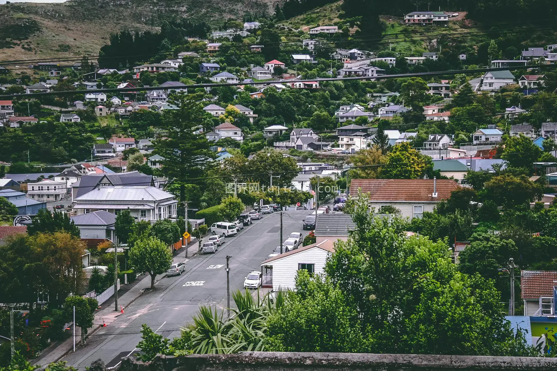 山丘绿意盎然住宅景致美图片