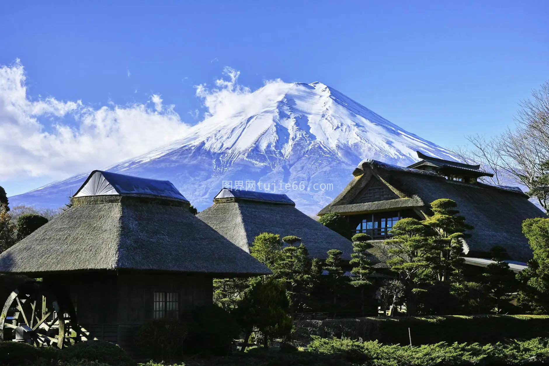 富士山映衬茅草屋风景图图片