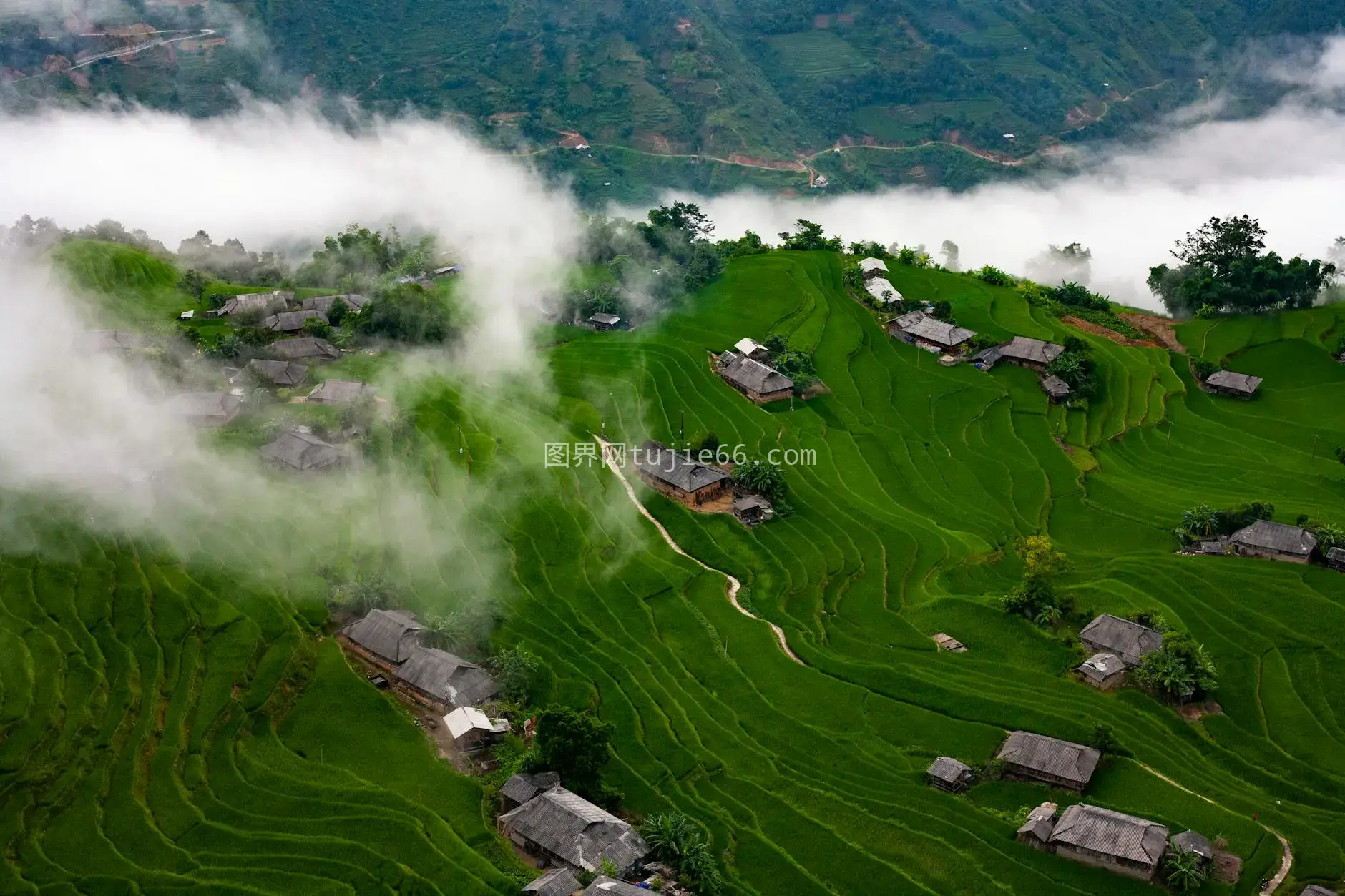 越南皇族市梯田云雾缭绕空中美景图片