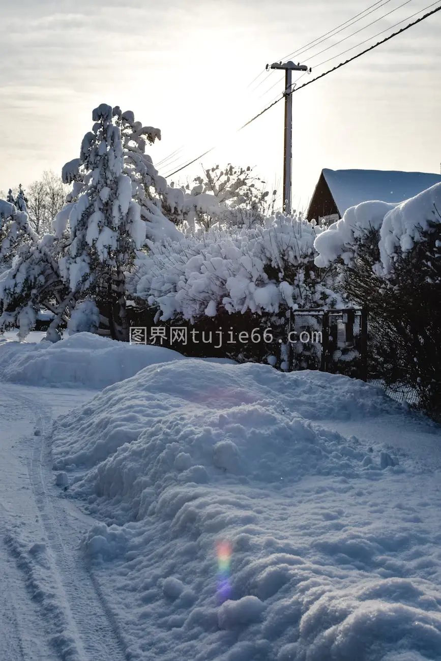 Estonian冬日雪景美如画图片