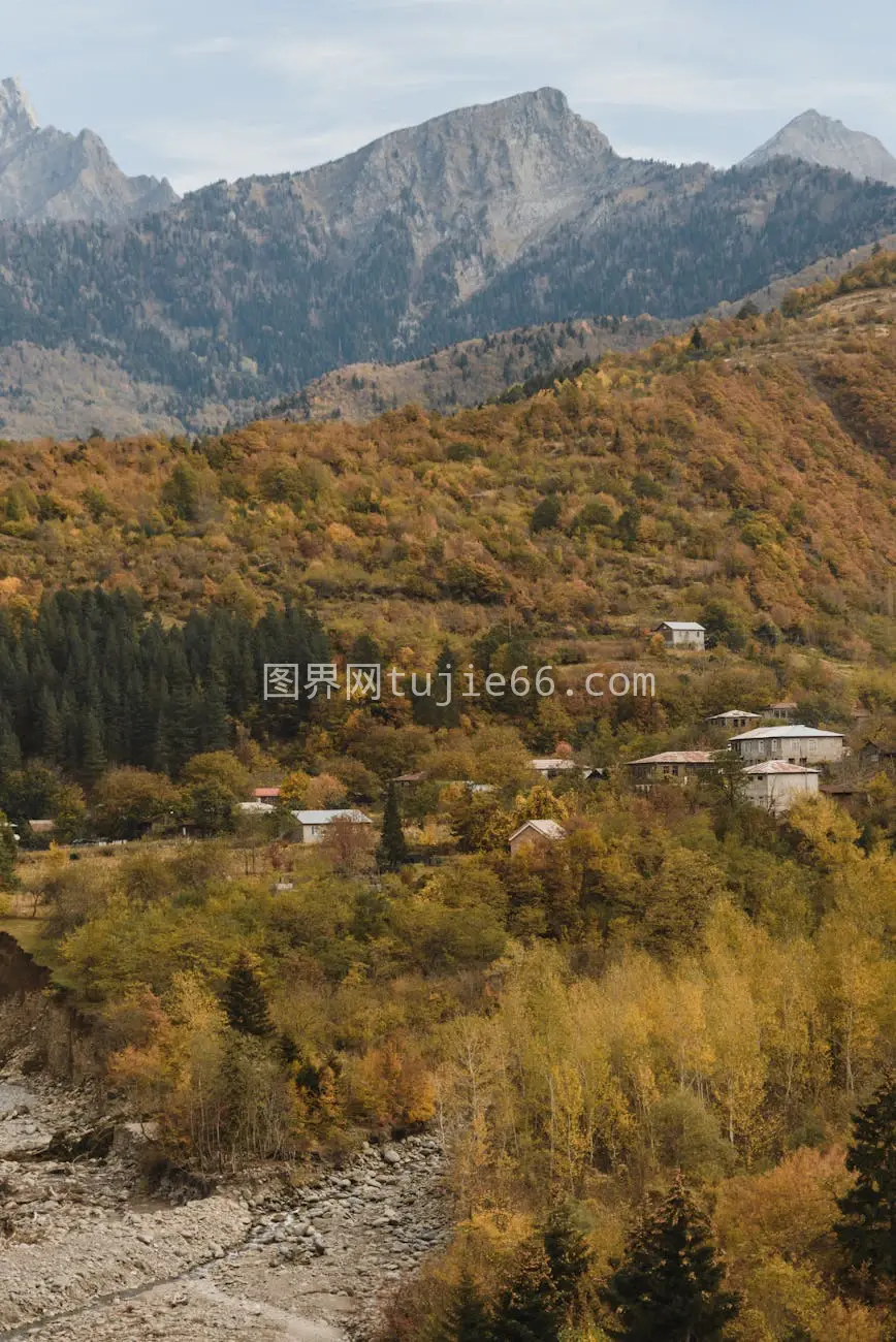 秋林山村探秘图片