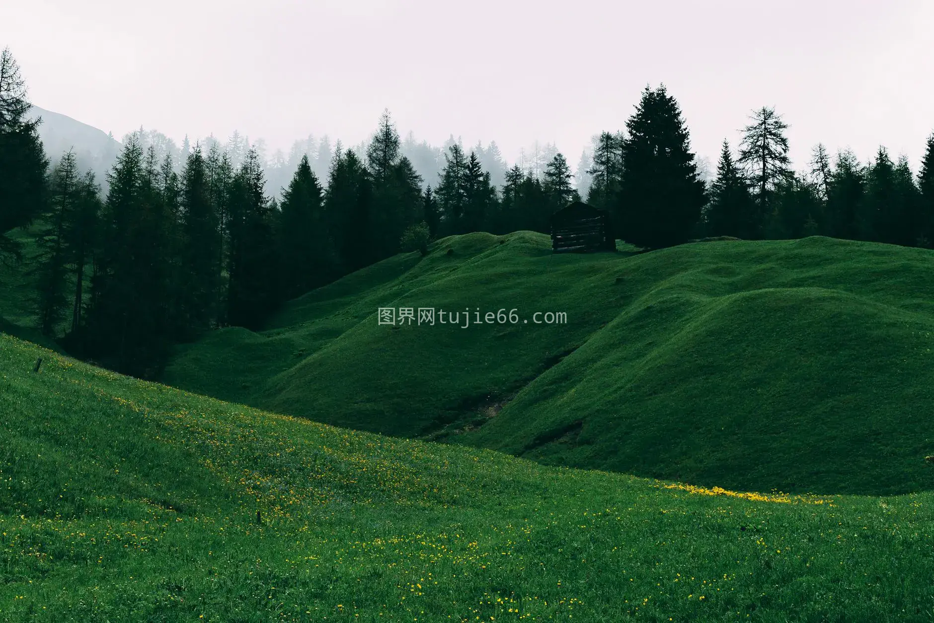 宁静绿丘独屋映天空图片