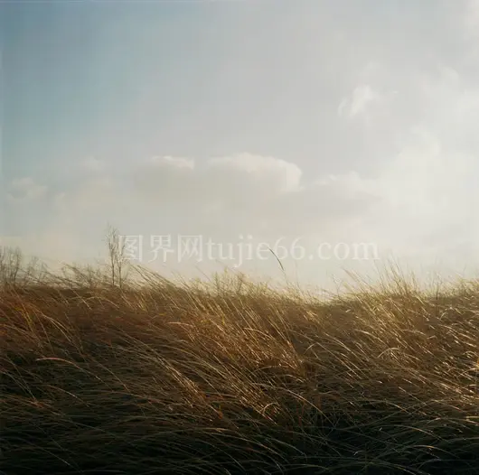 草原微风多云景致自然美