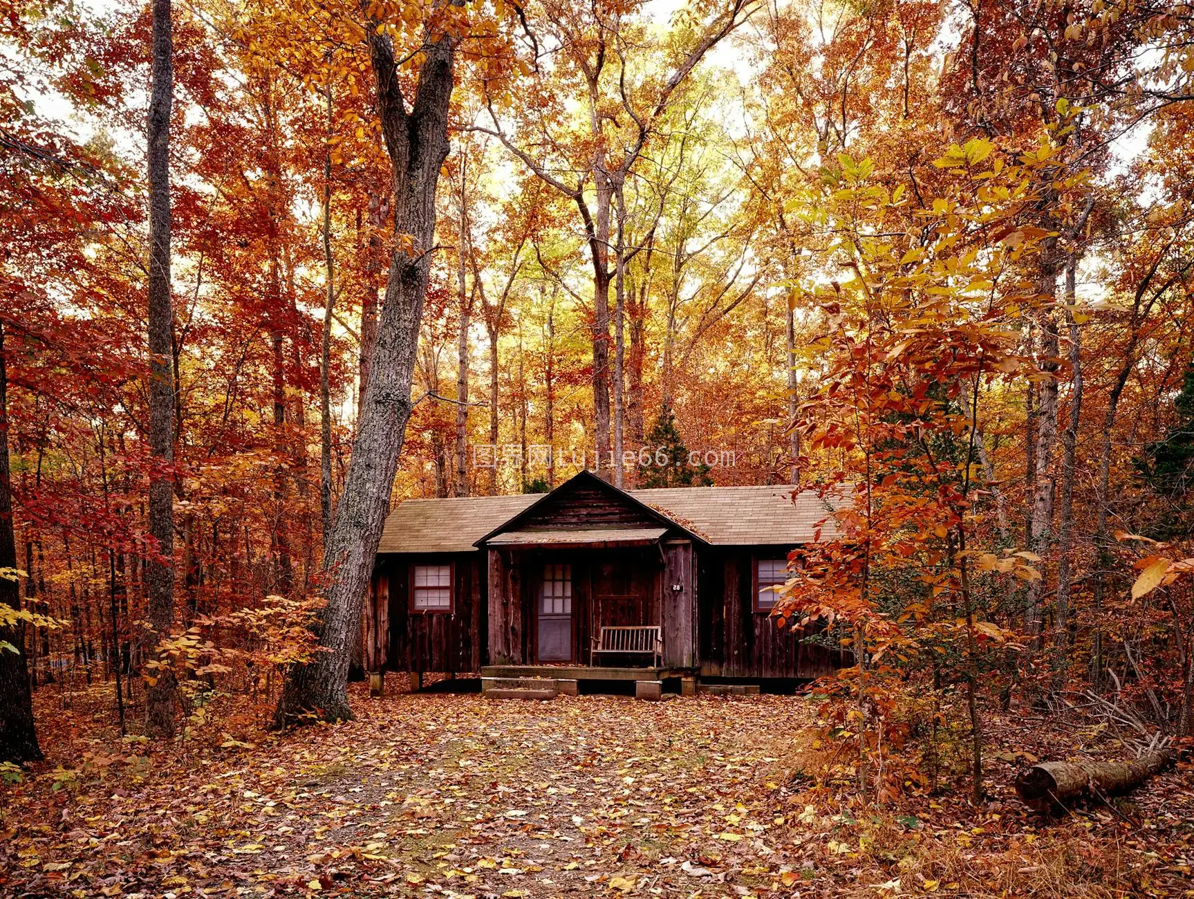 秋日森林小屋宁静景致图片