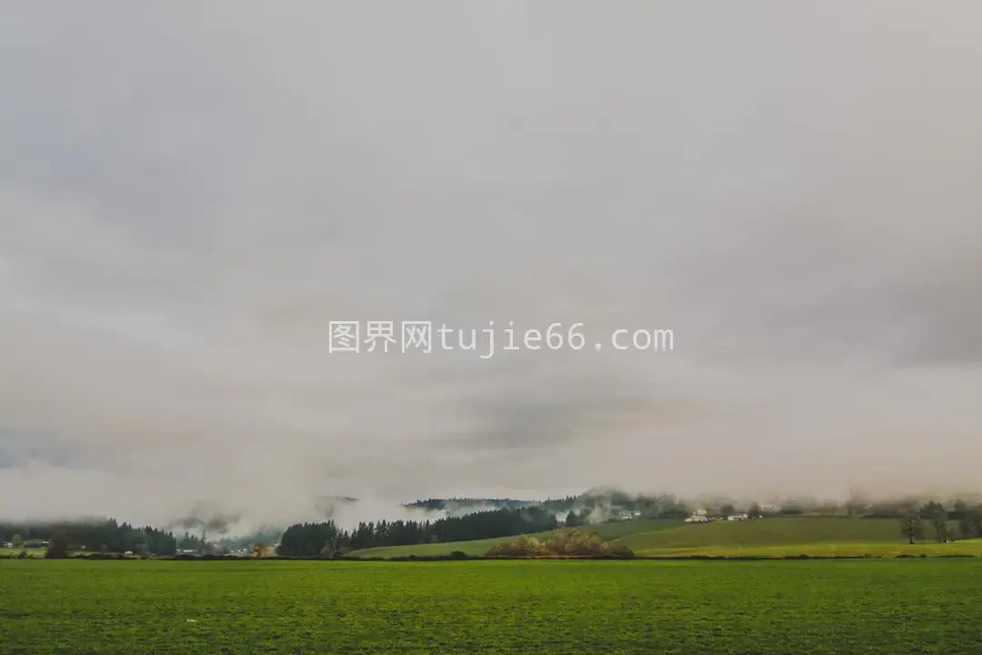 多云天空映衬下的绿意盎然田野图片