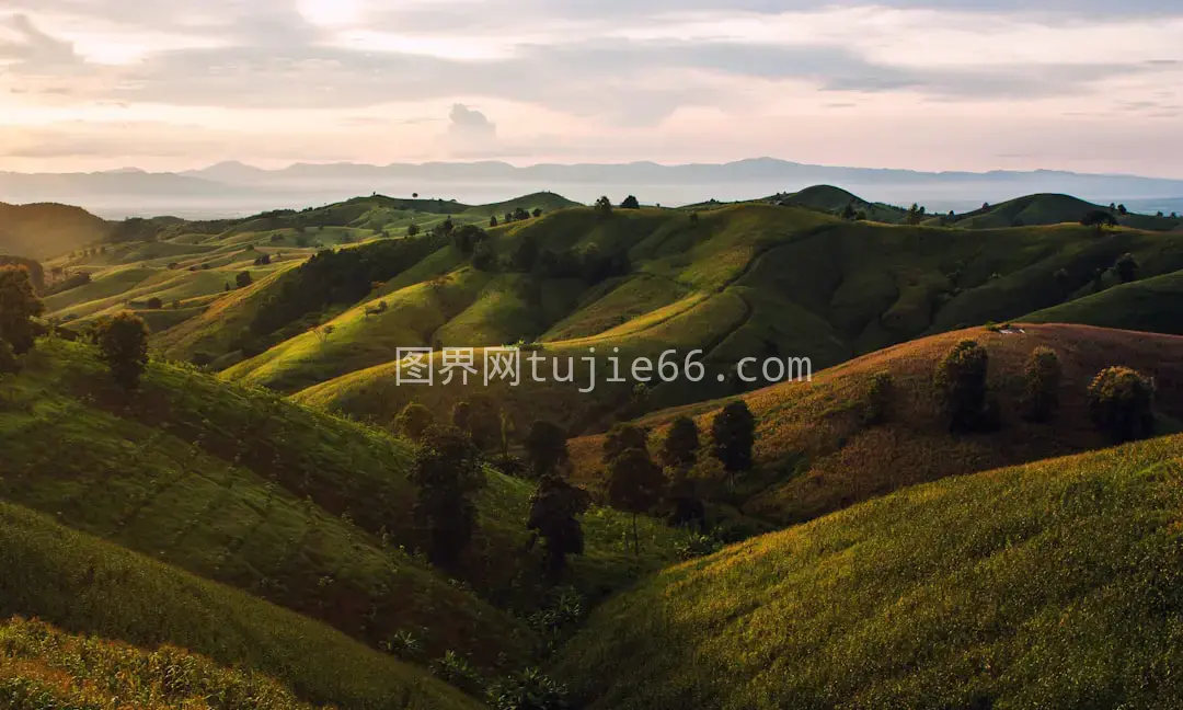 空中俯瞰山丘树木美景图片