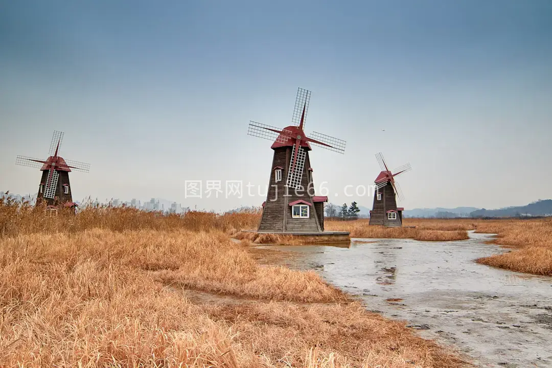 河边三座棕色风车景致图片