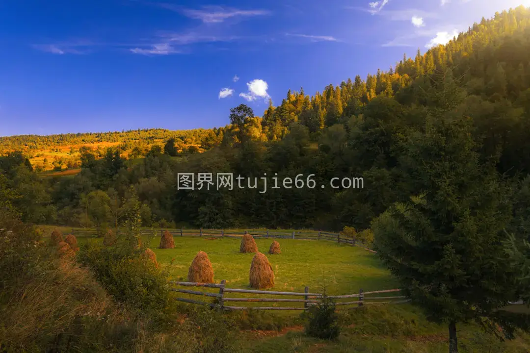 田野中央干草垛景致图片