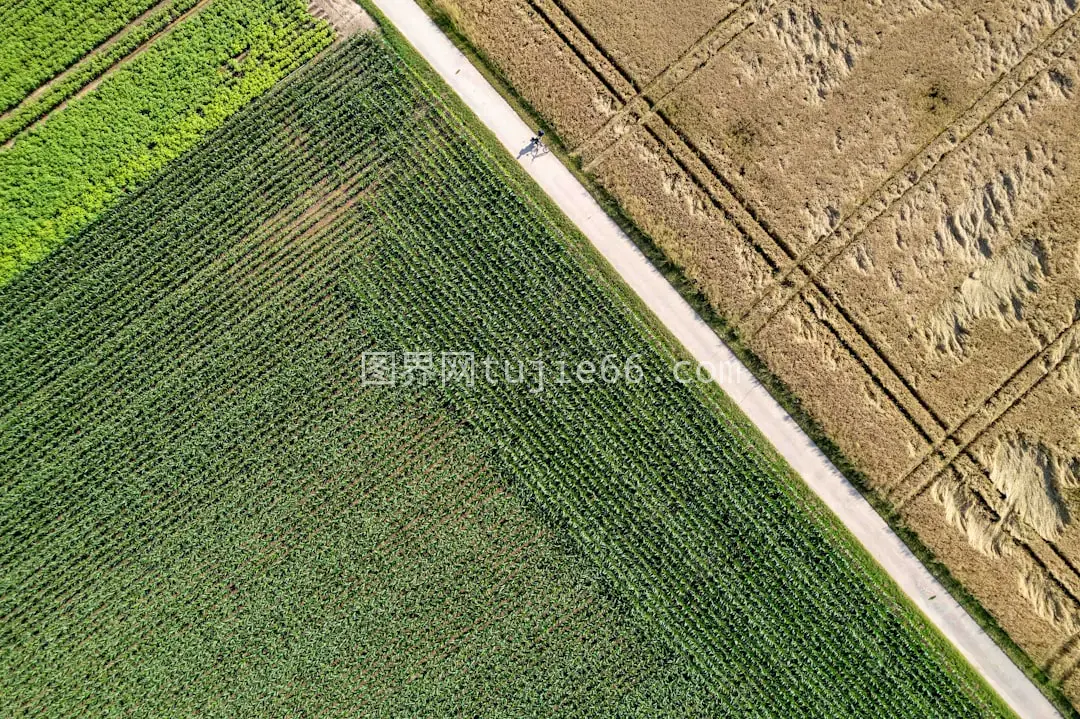 空中俯瞰农田道路穿越图片