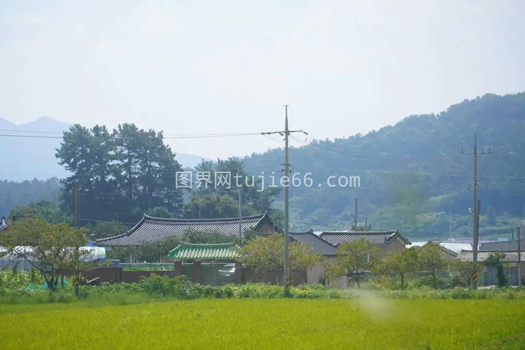 绿草田野房屋景致图片