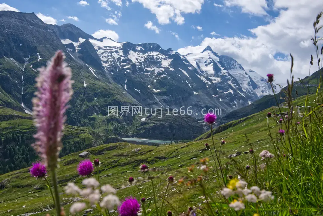 山脉间绿草如茵白昼景图片