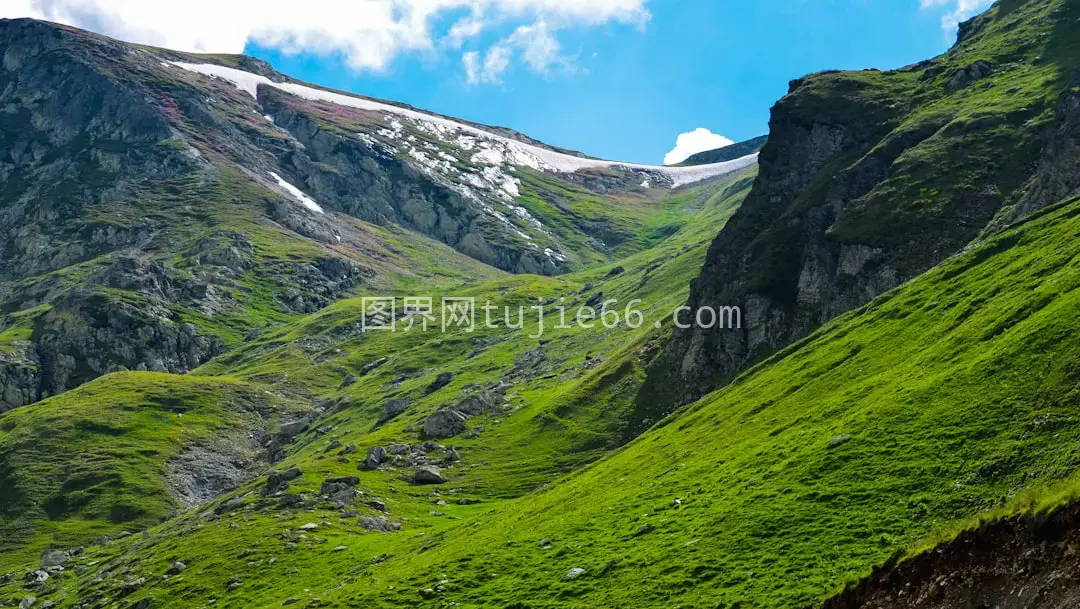 绿棕山景映照美图片