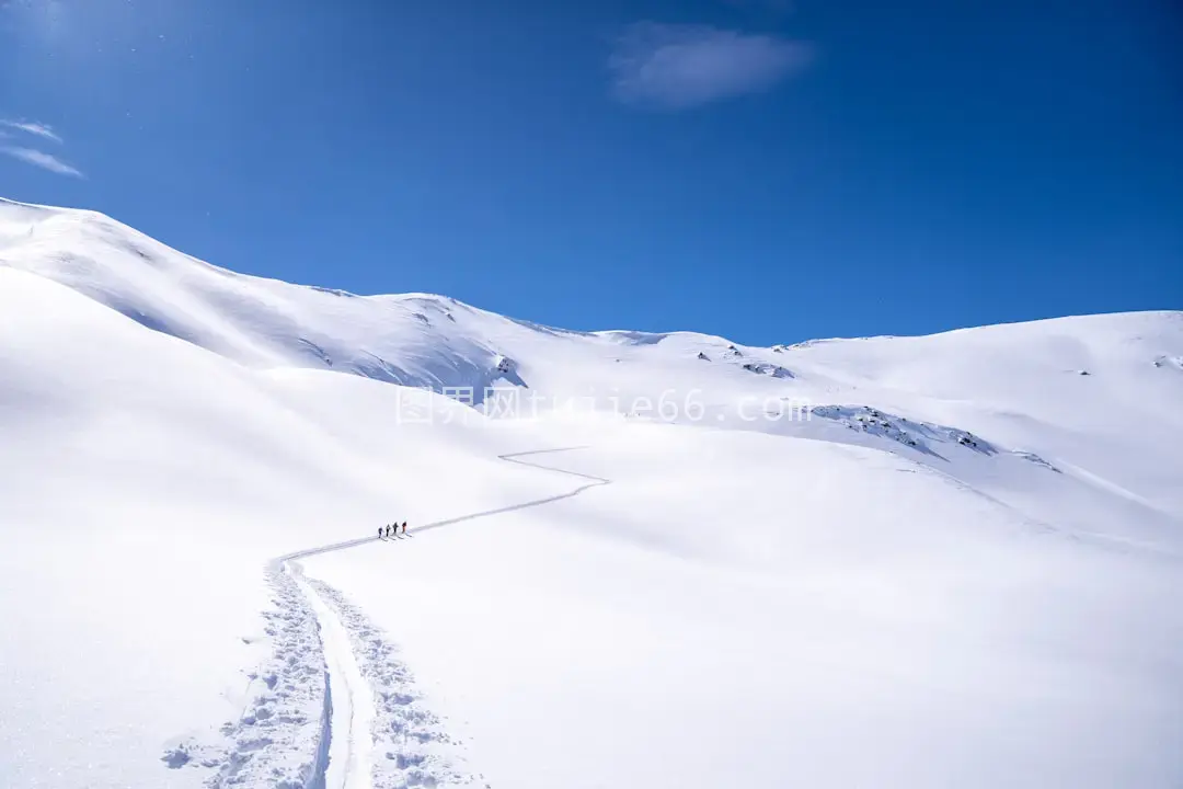 滑雪者雪坡疾驰图片