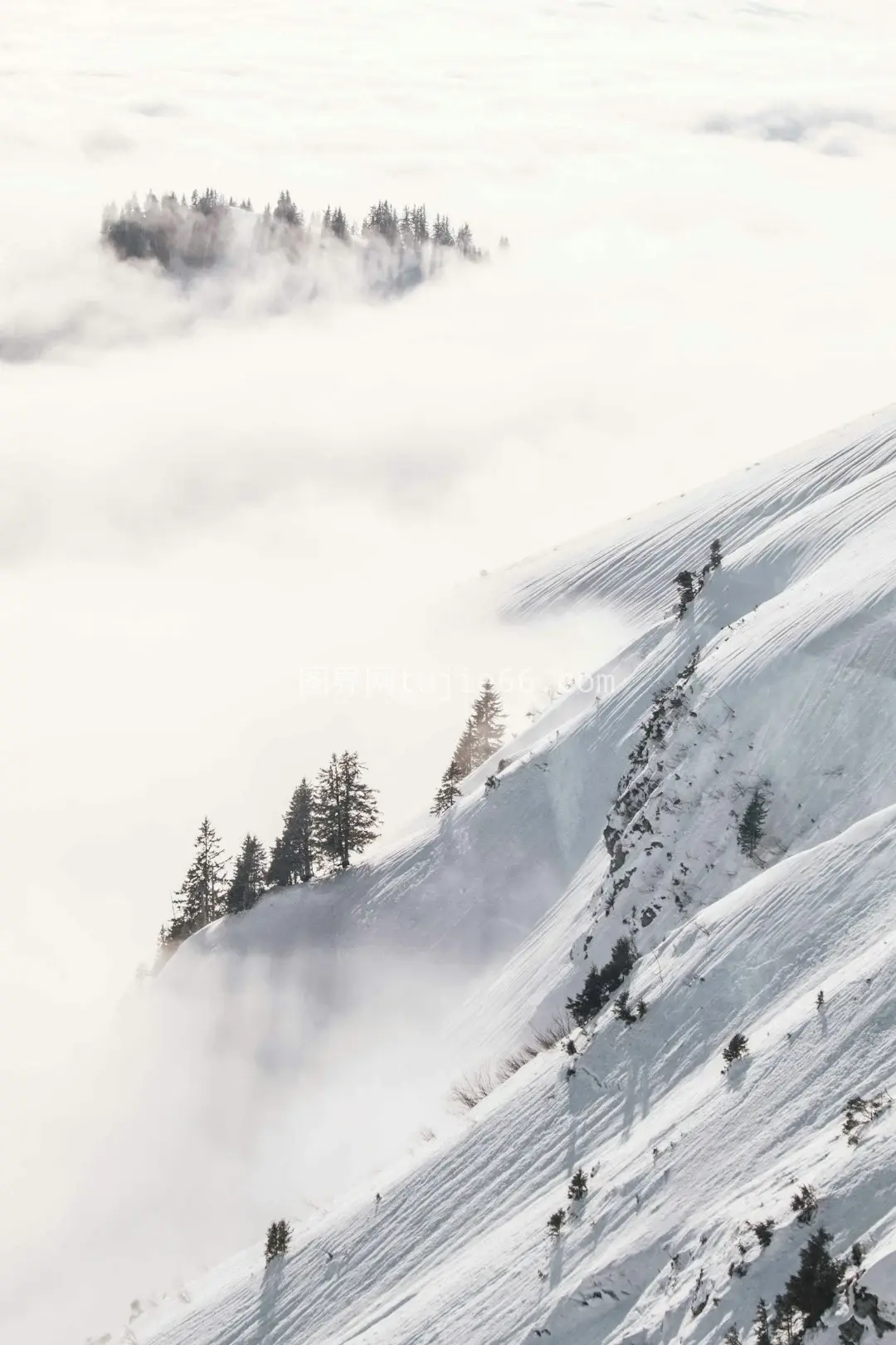 白天雪山美景映照图片