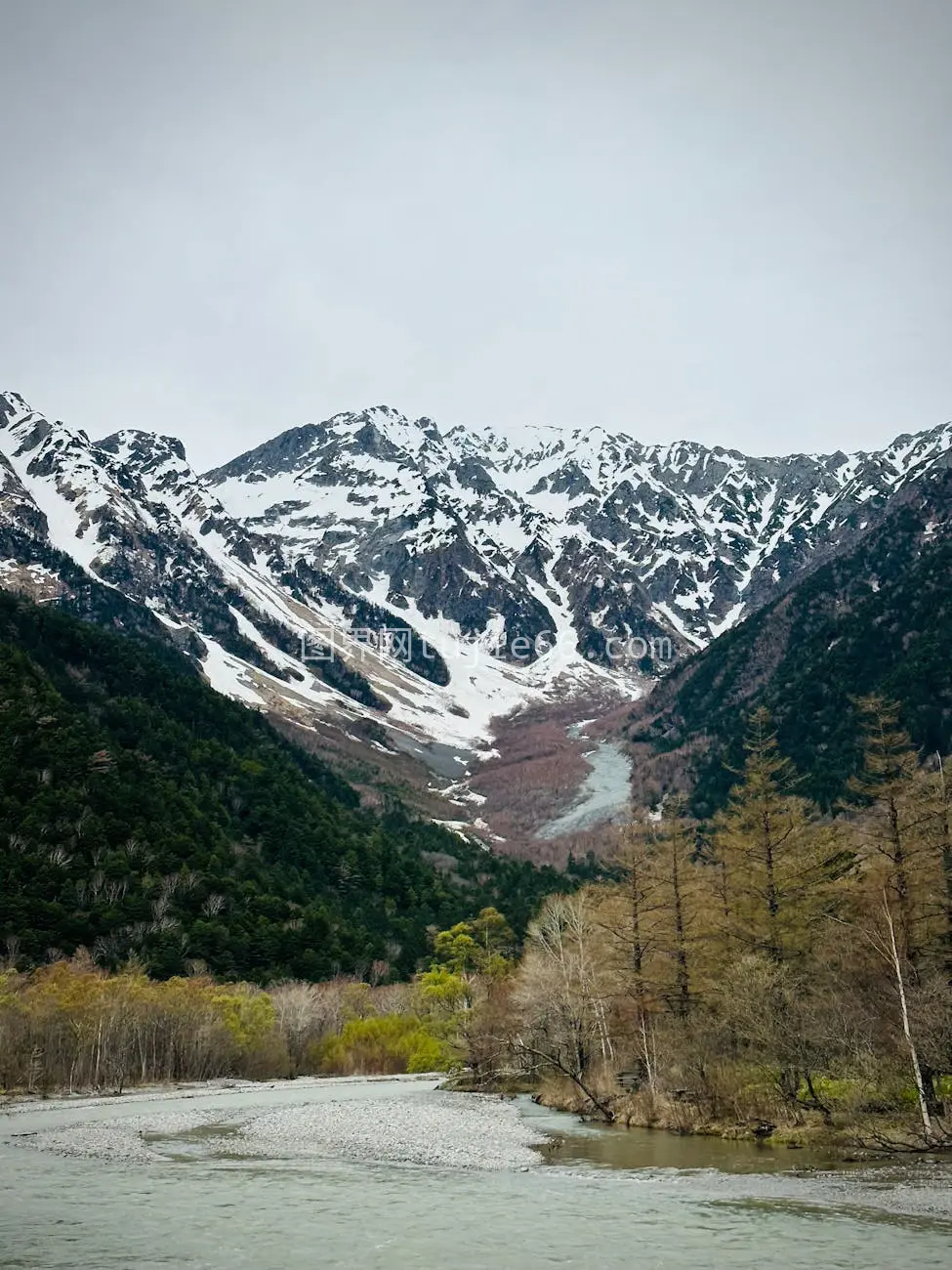 初春雪山森林河景美如画图片