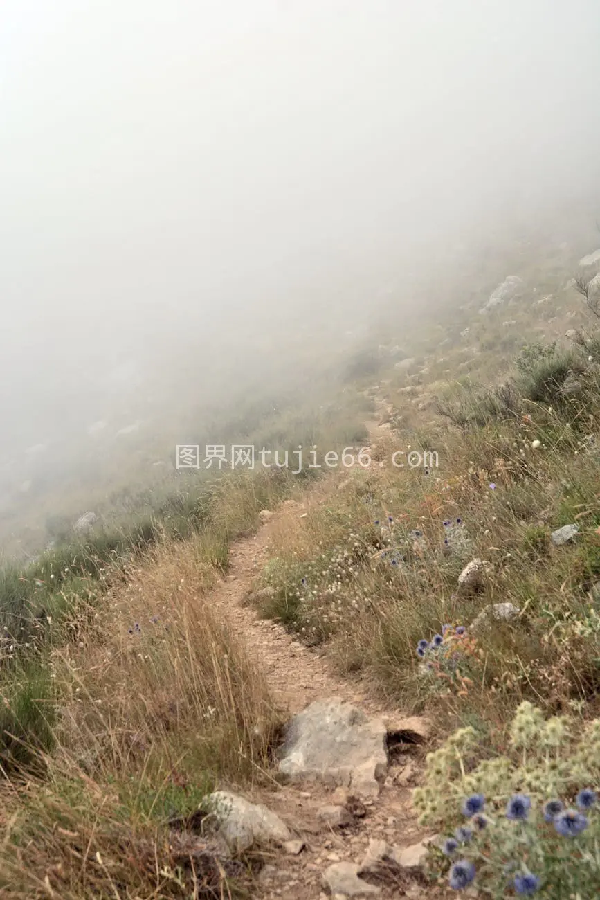 蒙顿普罗旺斯草地山丘雾景图片