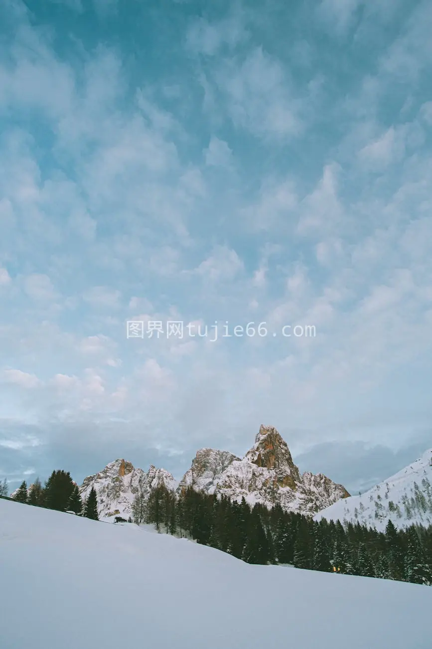 雪覆阿尔卑斯松峰蓝天图片