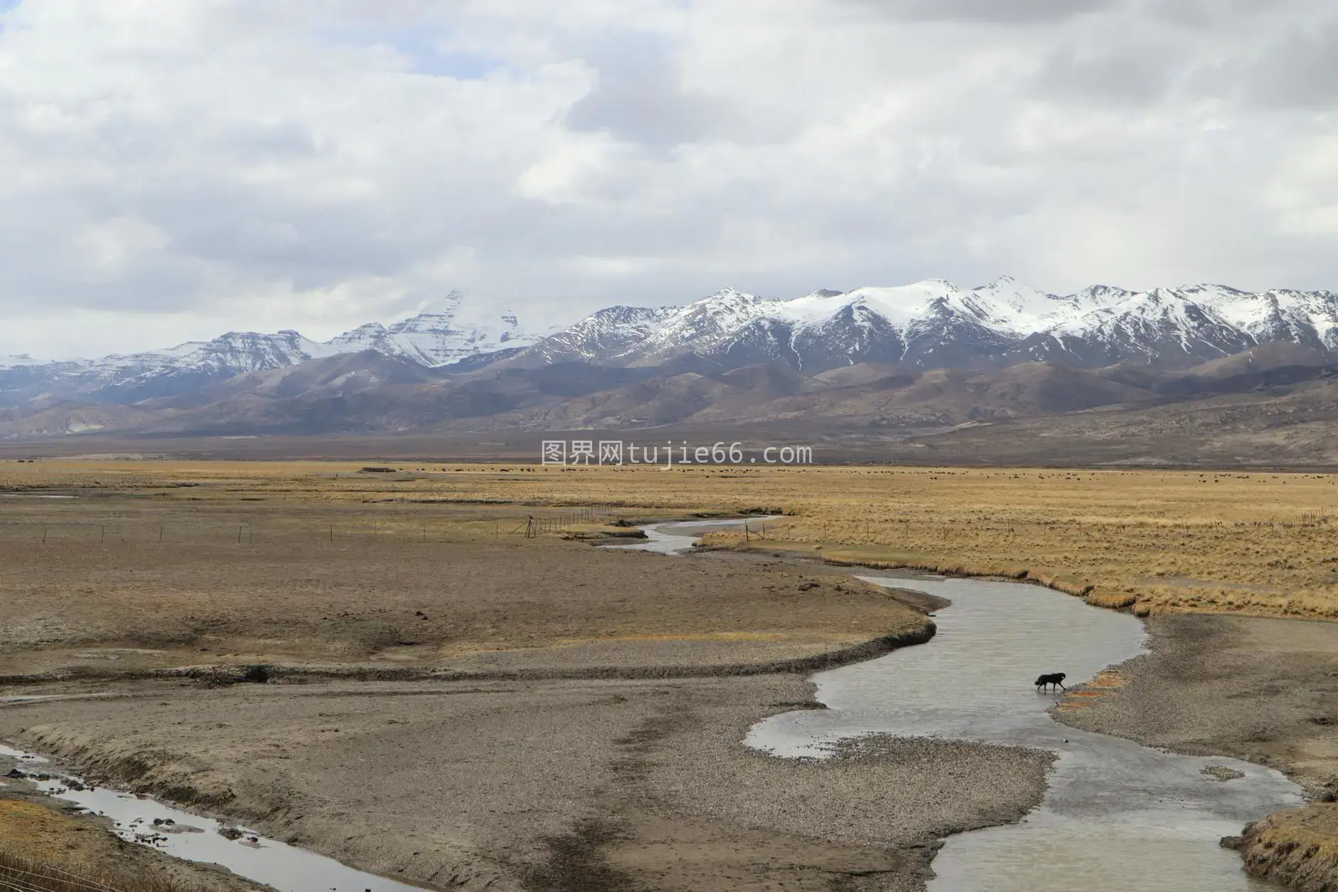 壮丽平原雪山溪流景图片