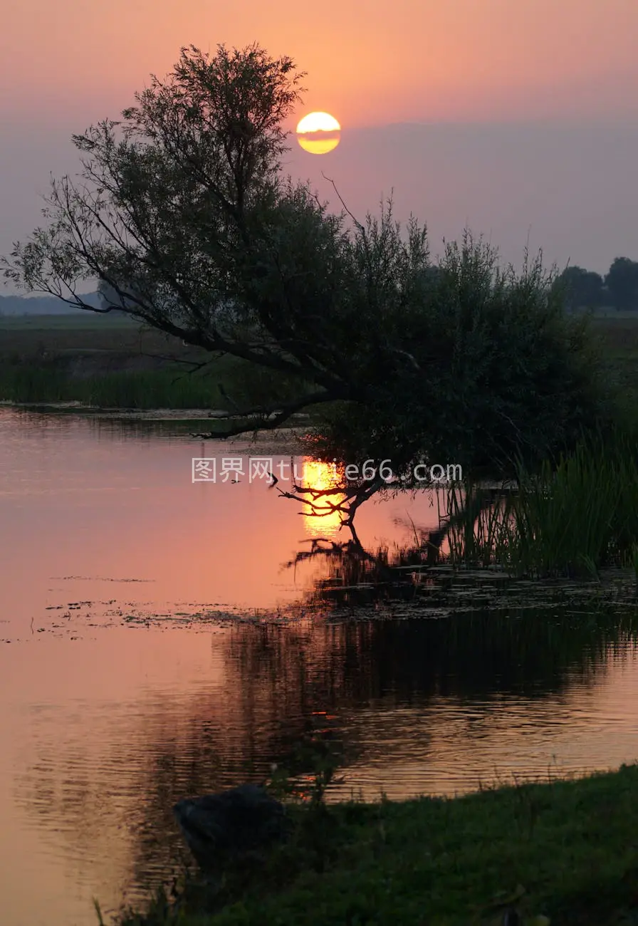 波兰湖泊宁静日落景致图片