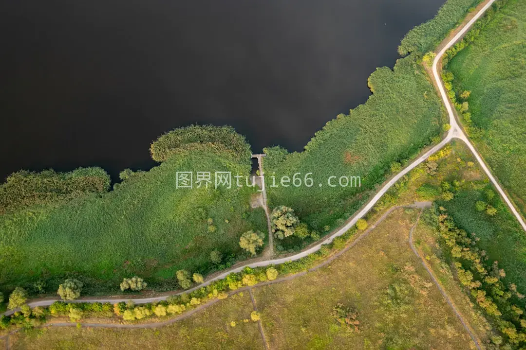 空中俯瞰树木环绕水边道路图片