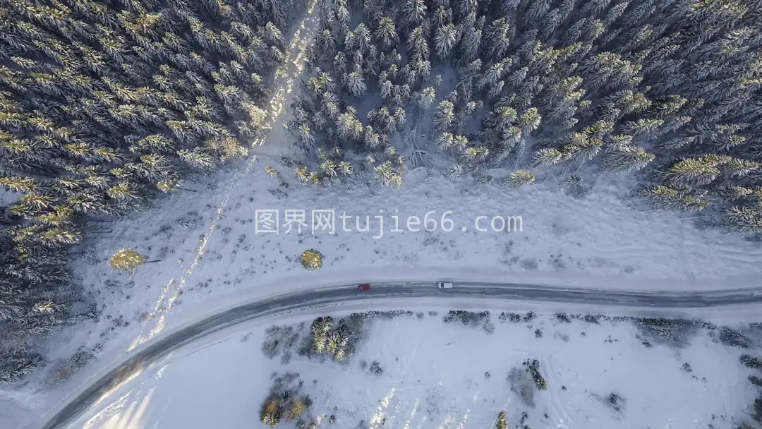 空中视角红白车道路旁树影图片