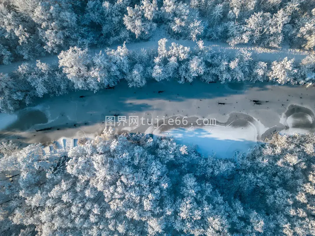 空中雪景树木映衬水域美照图片