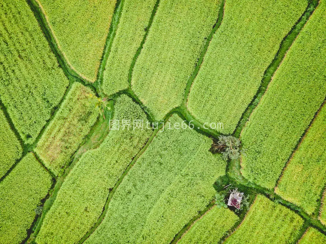 空中俯瞰绿野白昼图图片