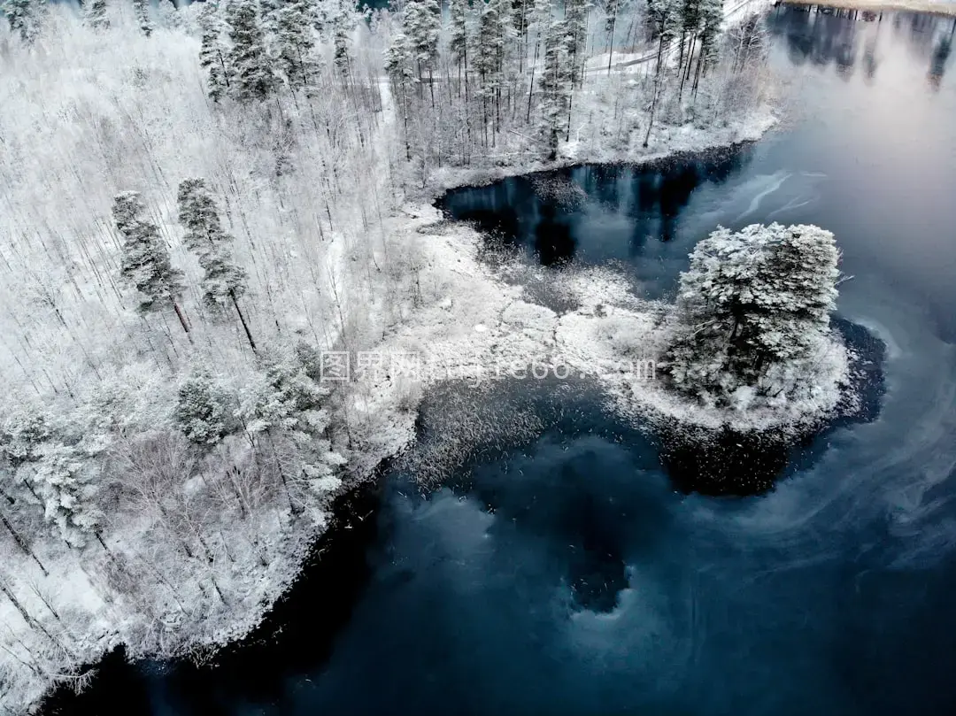 空中雪地树木映衬蓝色水域摄影图片