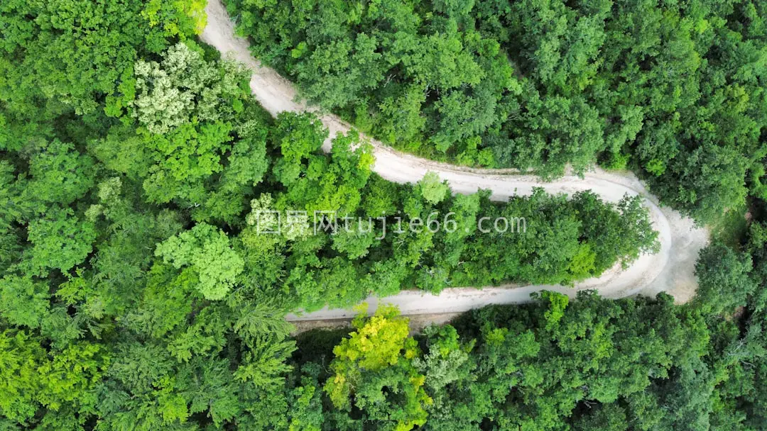 森林穿越路景图片