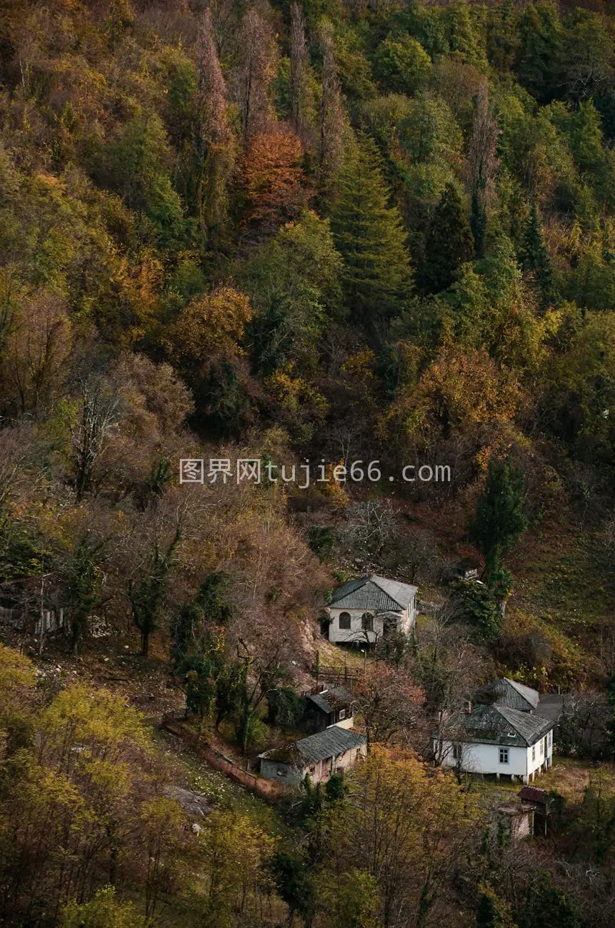 空中秋林温馨屋景图片