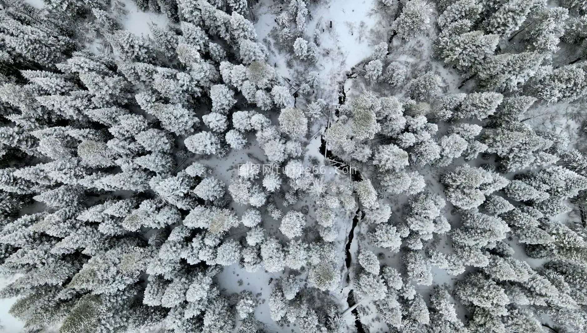 冬日雪景空中美图片