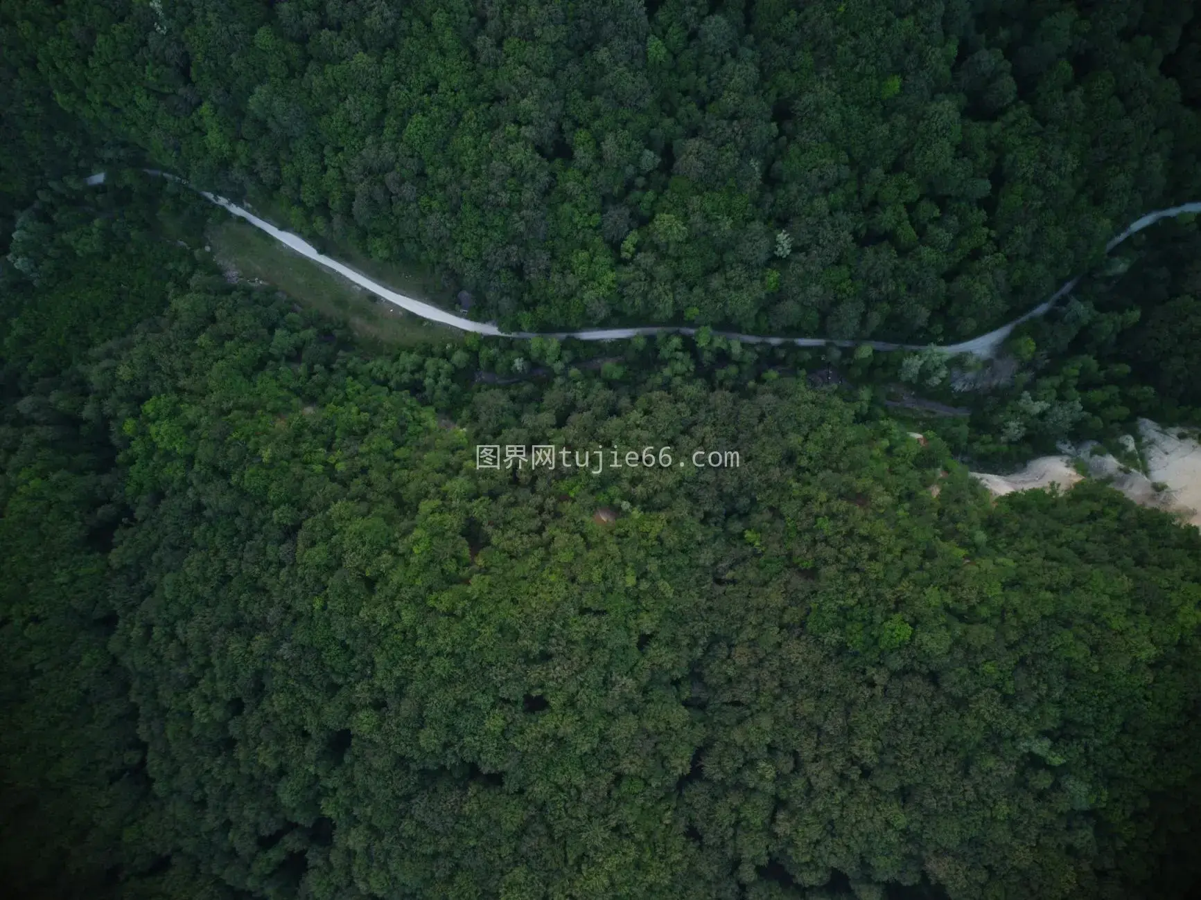 空中俯瞰郁郁葱葱森林自然之美图片