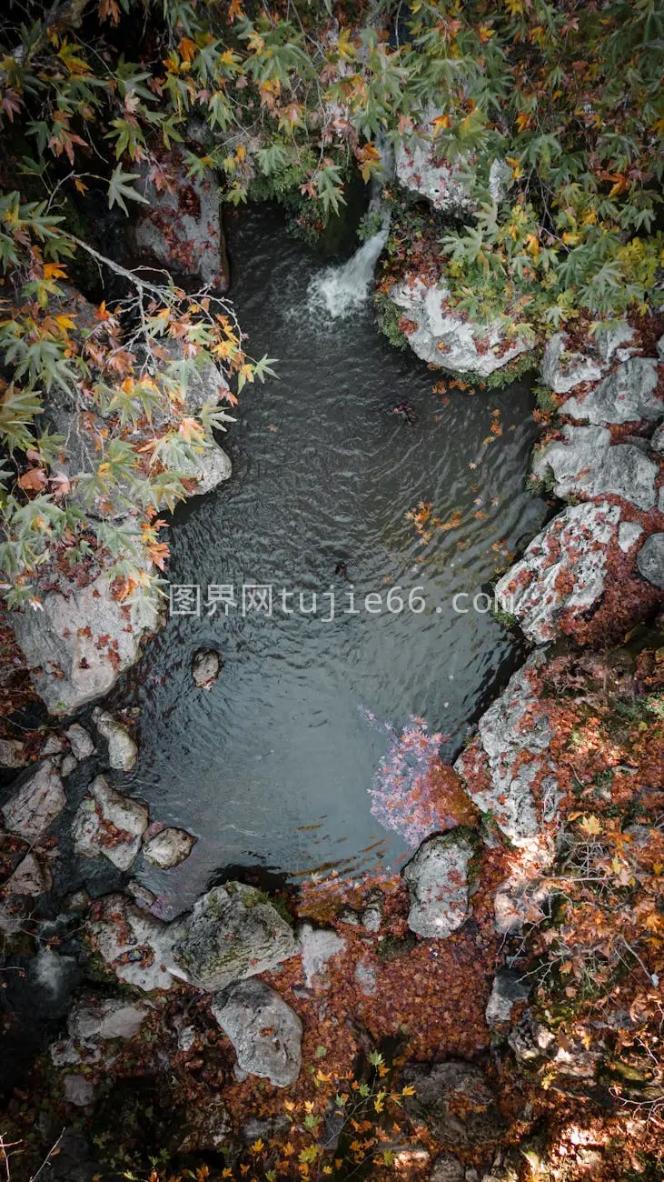 秋色森林空中溪流图片