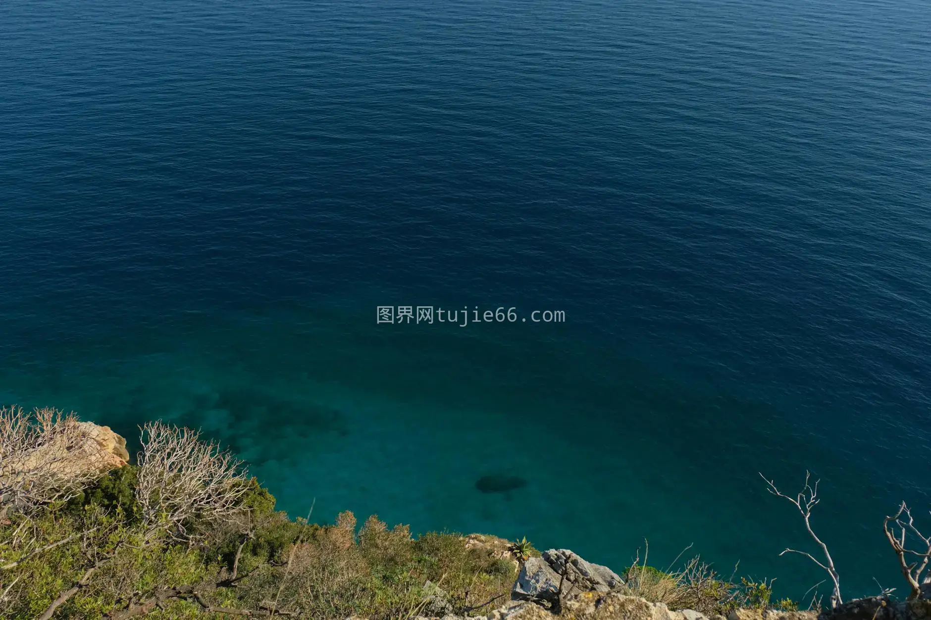 高空拍静蓝海岩岸绿意浓图片