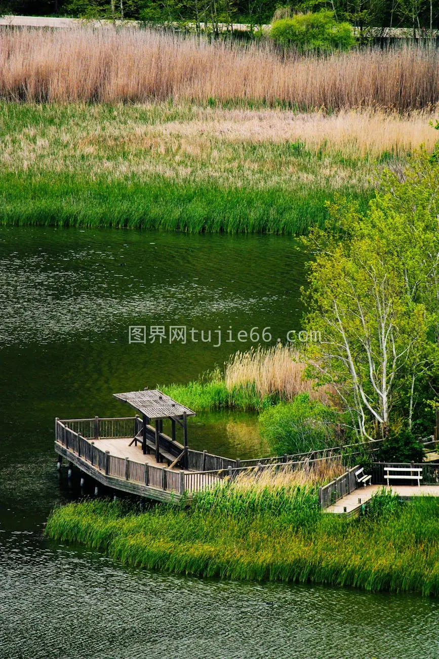 空中拍摄宁静湖边木板路绿植环绕图片