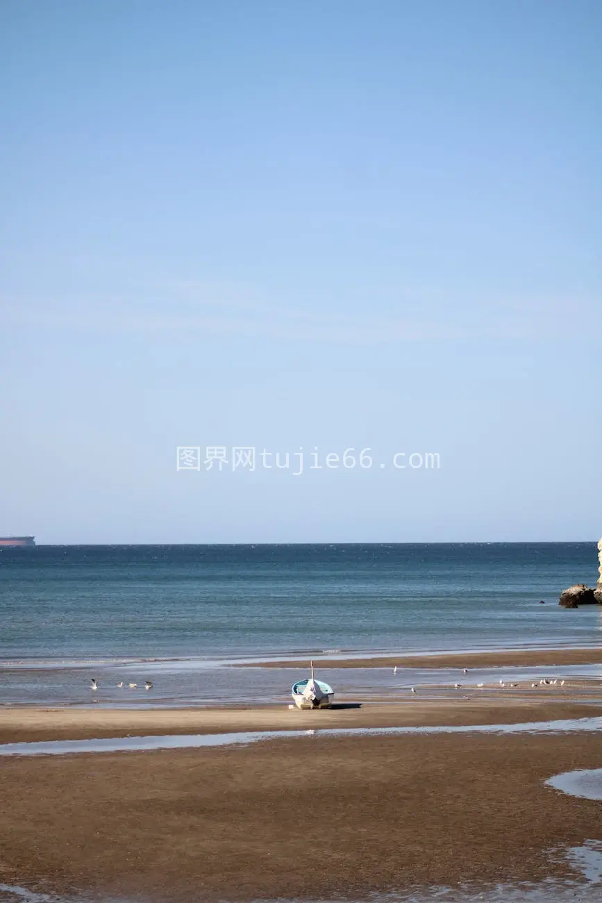 海滩孤舟海鸥蓝天景图片