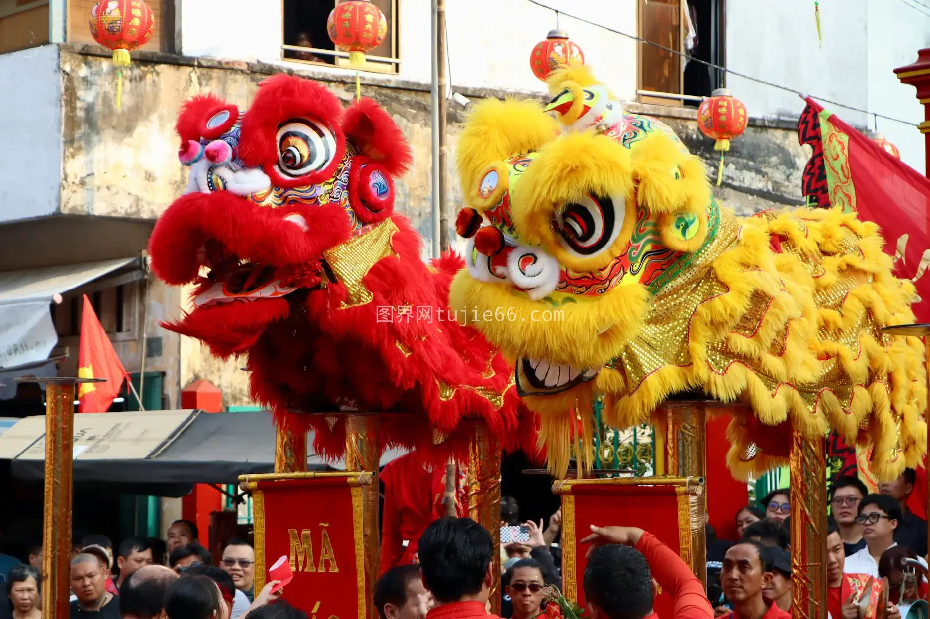 街头舞狮欢庆盛景引众围观图片