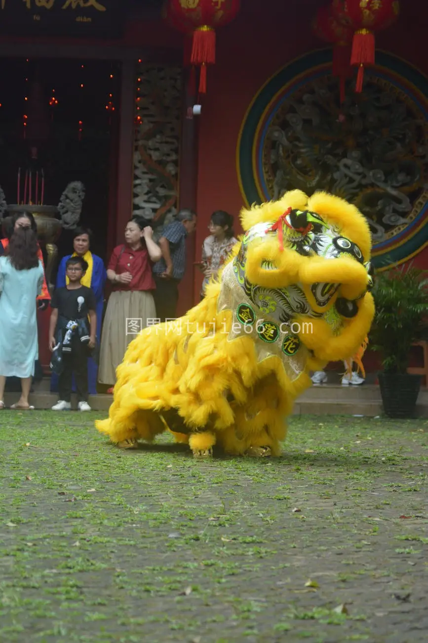 雅加达寺庙舞狮庆祝文化图片